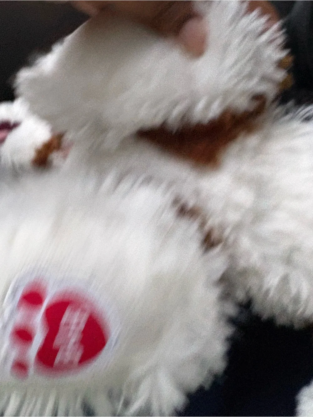 Promise Plush Dog Toy in White, Black, Brown with Pink Tongue